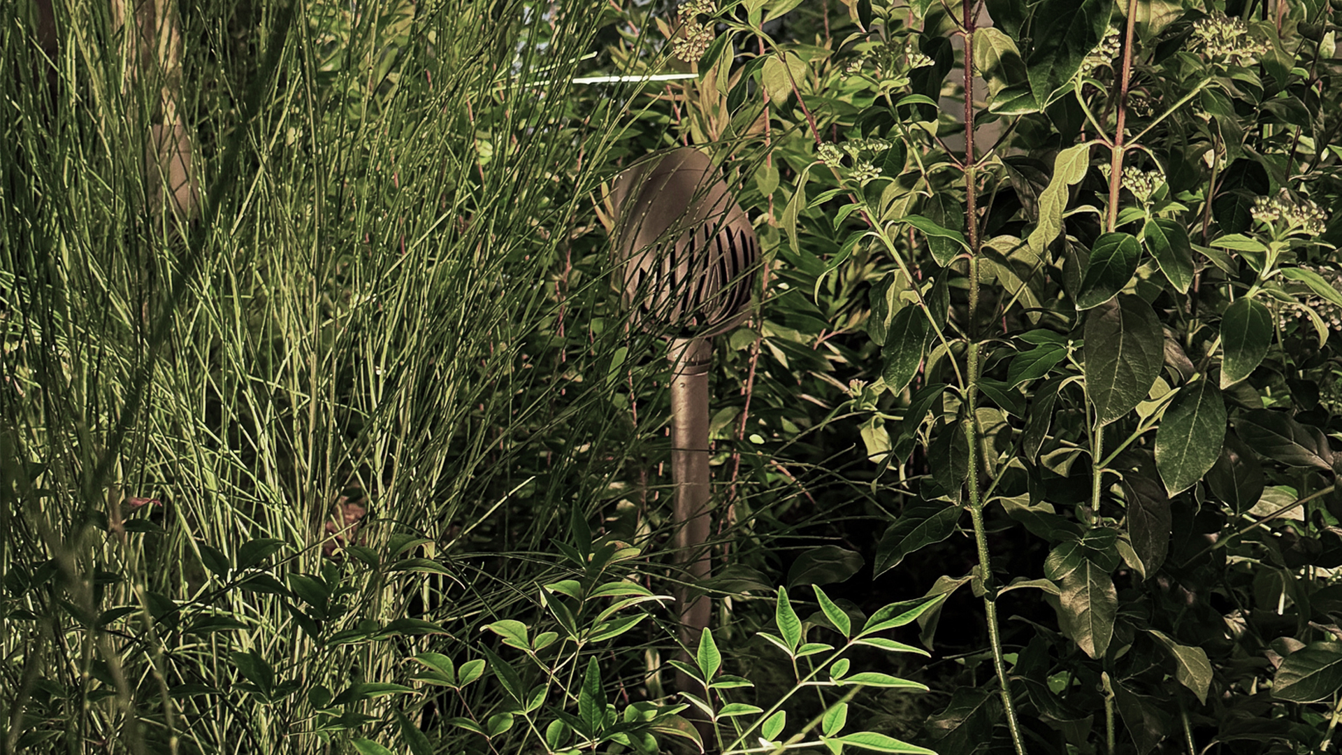 LargeImage